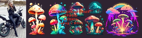 скорость Аркадак
