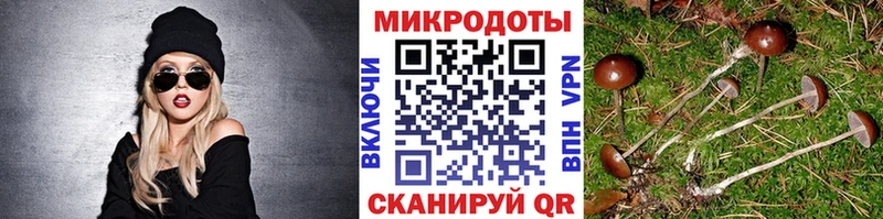 Галлюциногенные грибы мухоморы Мичуринск